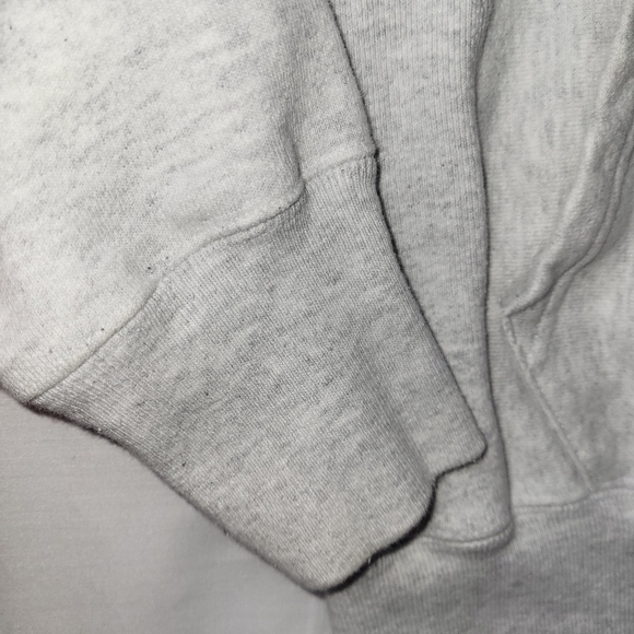 Champion Princeton Reverse Weave Hoodie Size Small Light Gray - Picture 9 of 12